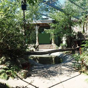 Siberian tiger exhibit