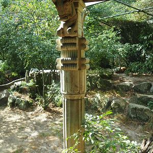 Siberian tiger exhibit