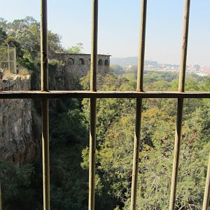 View from one Big Cat Viewing Turret to Another