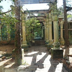 Griffon vulture and marabou aviary columns passage