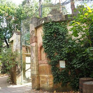 Vulture and marabou aviary viewing window