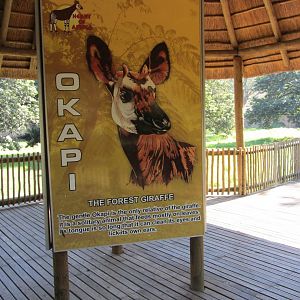 Okapi Signage