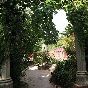Overgrown column arch