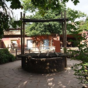 Well near the bactrian camel paddock