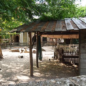 Miniature donkey/Somali sheep paddock