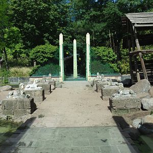 Hamadryas baboon/Aoudad exhibit