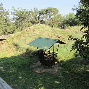 Sichuan Takin Exhibit