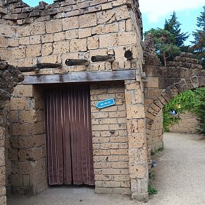 Ancient City fruit bat house