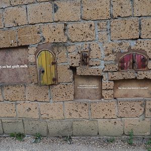 Bat educational displays