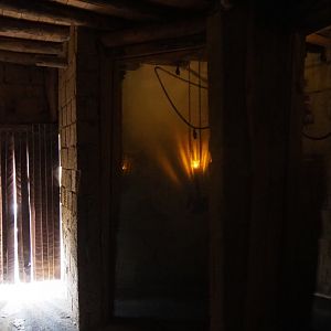 Egyptian fruit bat viewing area