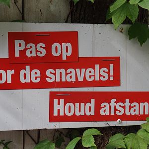 Beware of the beaks, keep your distance sign