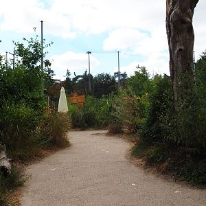 Visitor pathway in the SnavelRijk Aviary