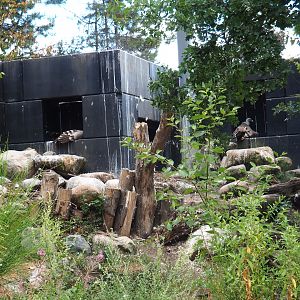SnavelRijk vulture nesting area
