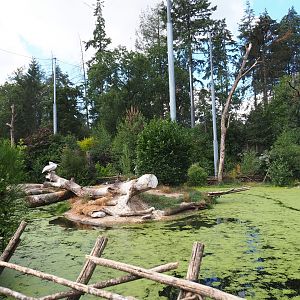 SnavelRijk Aviary - big pond with island