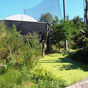 Snavelrijk aviary - small pond and holding building