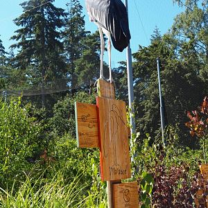 Marabou stork on its own very pooped-on sign