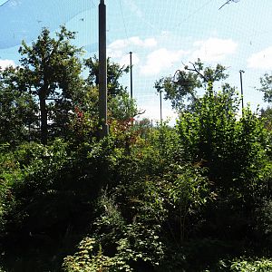 View of SnavelRijk aviary from the outside