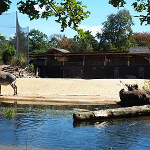 Savanna paddock seen from the lemur island