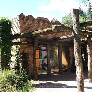 Lemur and capuchin house