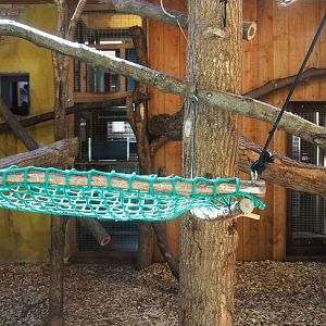 Lemur indoor housing