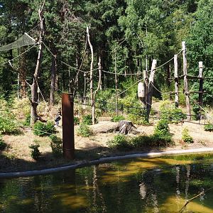 Yellow-breasted capuchin exhibit