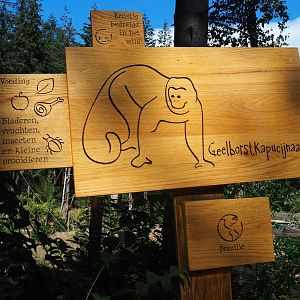 Sign yellow-breasted capuchin