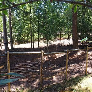 Western sitatunga area