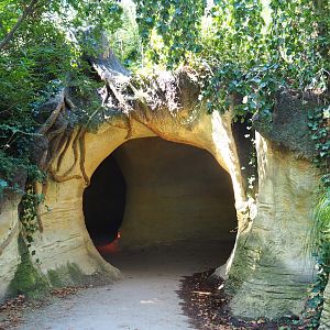 Den area entrance