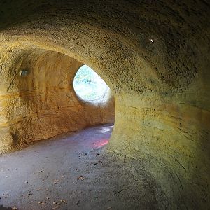 View in the den area