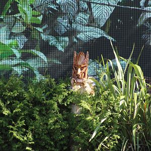 New Caledonian Hunter Mask