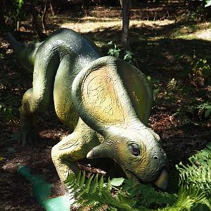 Protoceratops model