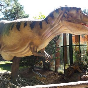 Tyrannosaurus rex model