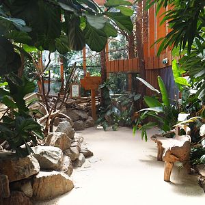 Aldabra giant tortoise viewing area