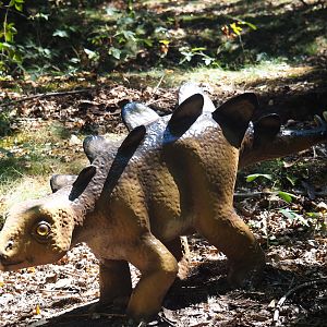 Baby Stegosaurus model