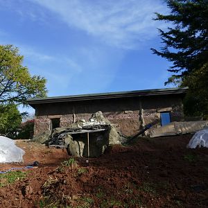 Meerkat development, October 2018