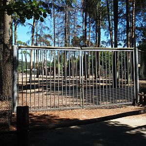 Gates and side-view of the savanna paddock