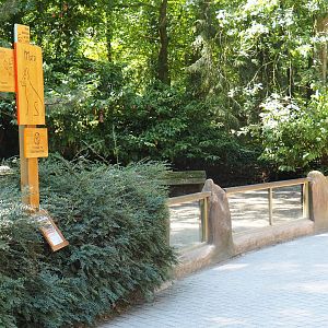Patagonian mara exhibit