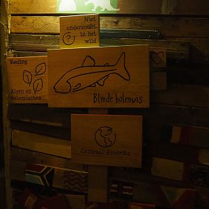 Signs blind cave fish