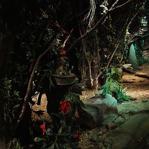 View in "De Nacht"/"The Night" nocturnal house