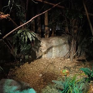 View in "De Nacht"/"The Night" nocturnal house