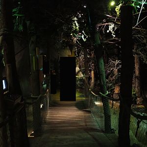 Visitor pathway in "De Nacht" nocturnal house