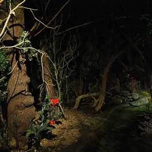 View in "De Nacht" nocturnal house