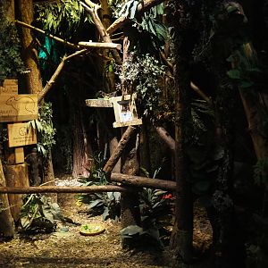 View inside "De Nacht"