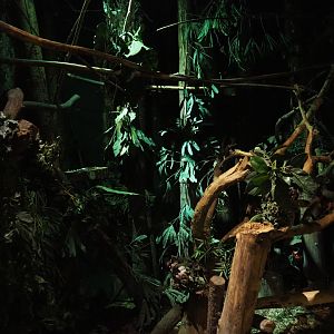 View inside "De Nacht" nocturnal house