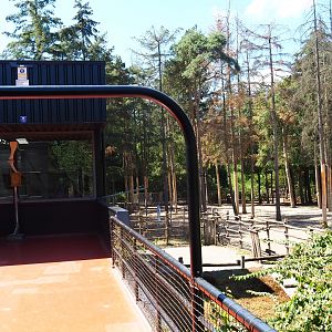 View of giraffe barn and separation paddocks