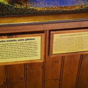 Golden mantella and yellow-headed day gecko signs