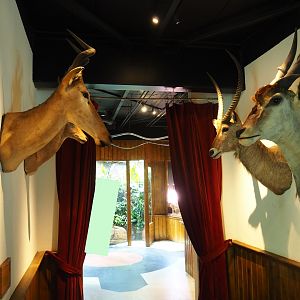 Mounted trophy heads passageway