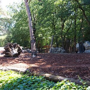 Indian rhinocero exhibit