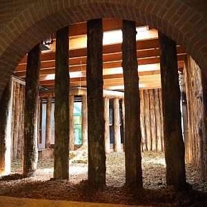 Indian rhinoceros stable