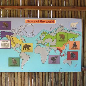 "Bears of the World" Signage